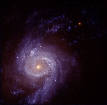 NGC 3310
